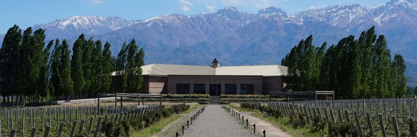 Reveillon nas Cordilheiras - Expedição Mendoza - Cerro Aconcágua - Vinícolas